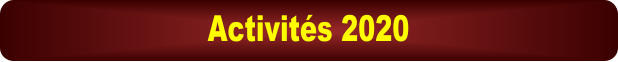 Activits 2020